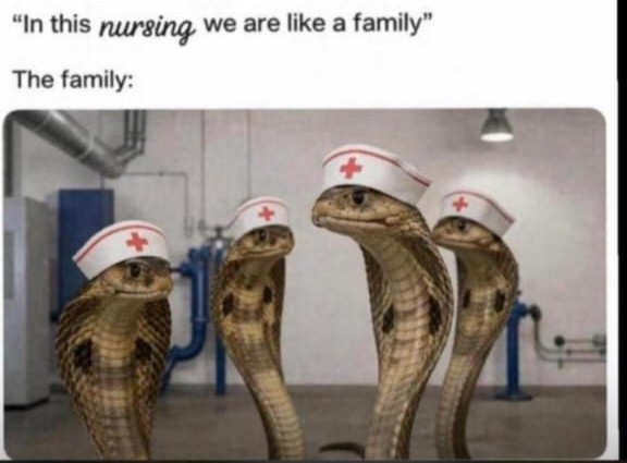 Kene 😍 tweet media