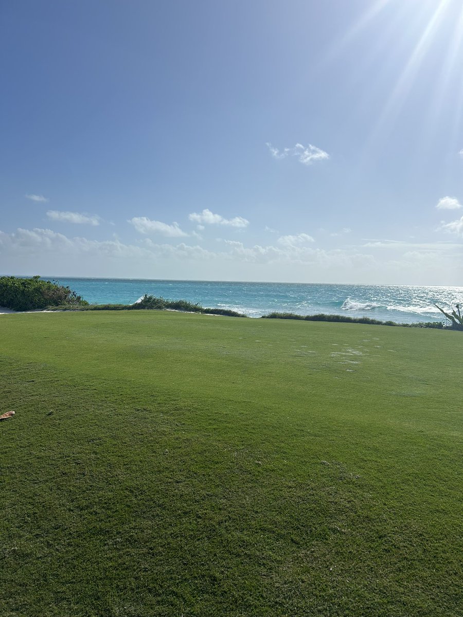 dtagovailoa's tweet image. Built on faith.
Centered on family.

Grateful for moments like this.

#family #legacy #makingmemories