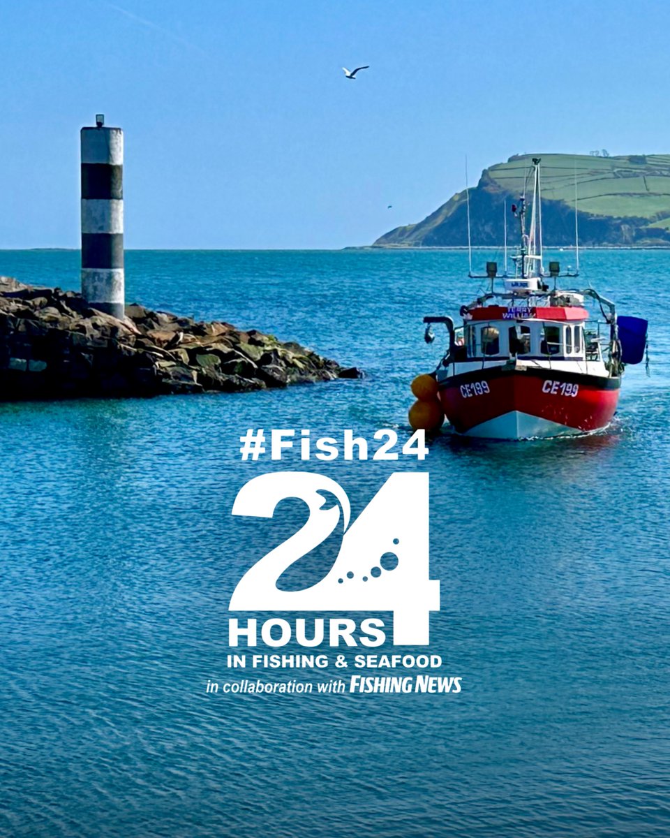 Fish City Belfast tweet media
