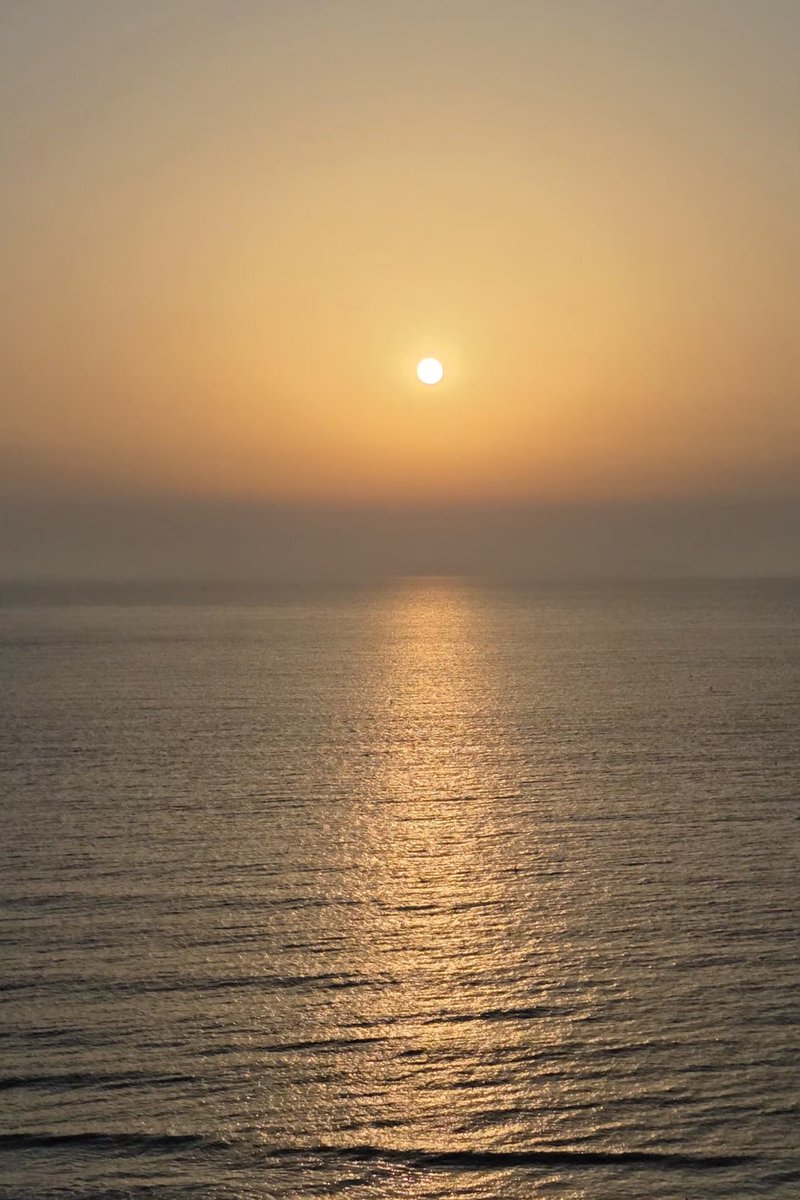 시간이 흐른다
세월이 흘렀다
그 어느 한 곳엔
잊혀지지 않으려 애쓴다
그냥 그때이고 싶나
흐트러져도 좋다
좀 내려놔도 좋다
지금을 즐길 줄 안다면

#세월 #남김 #지금