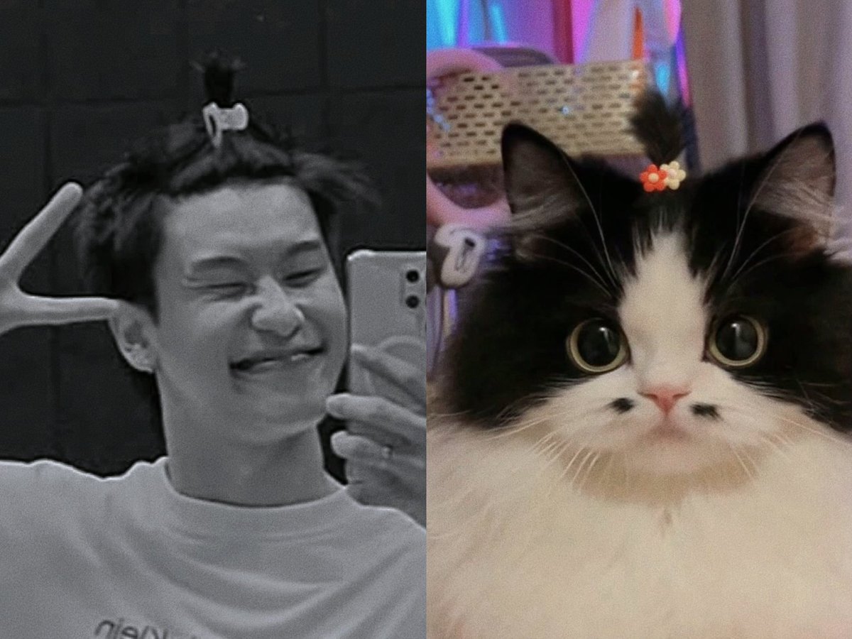 ᑤ h /•᷅•᷄\ᘏ tweet media