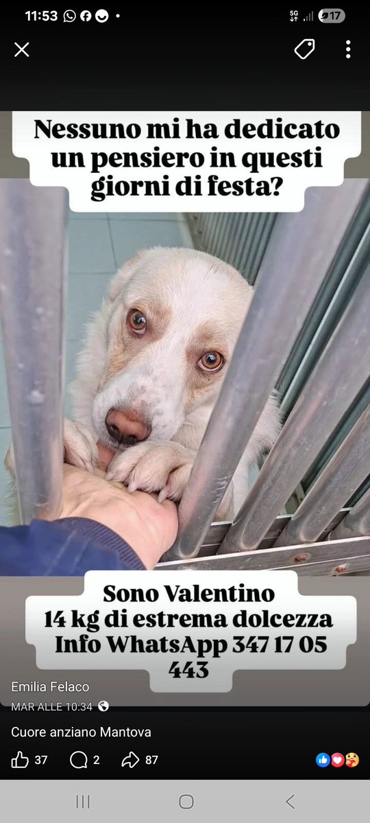 Gabriella Barghini tweet media