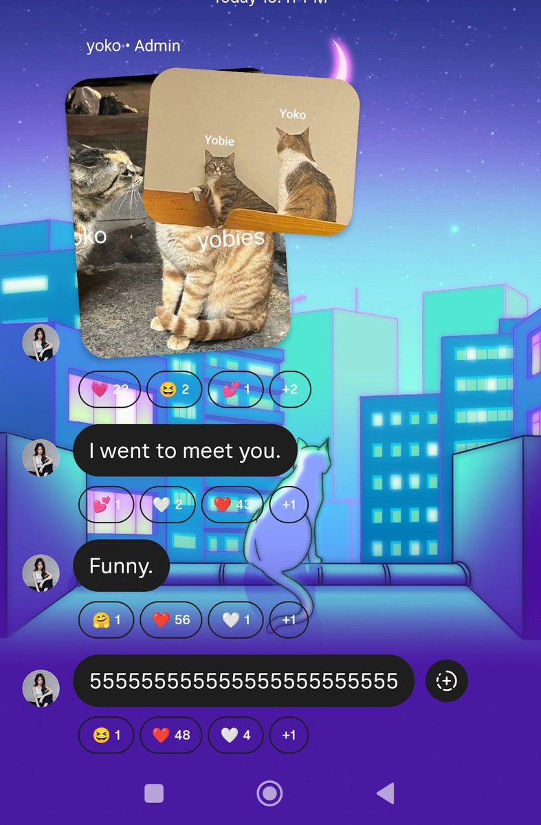 星辰👻 tweet media