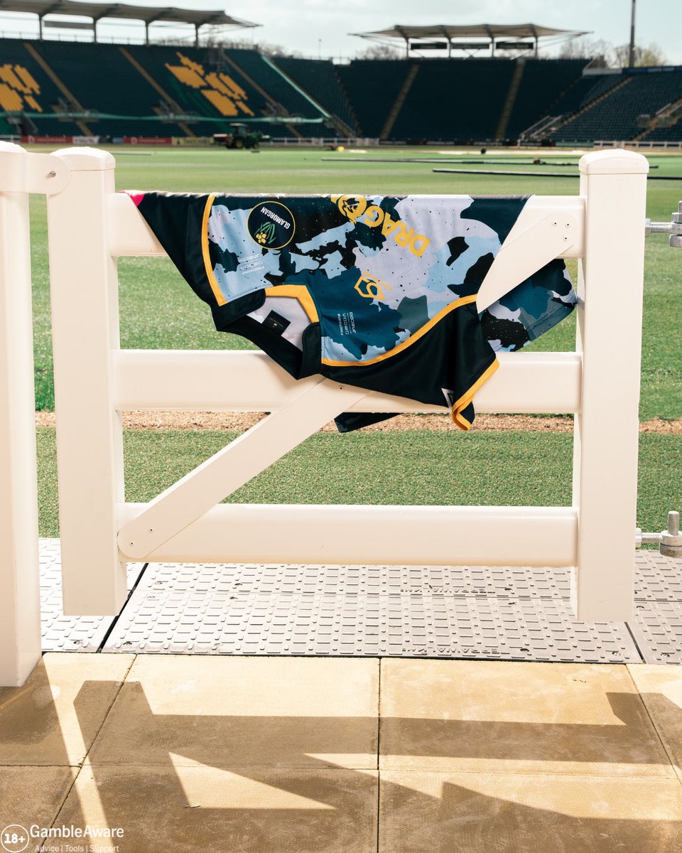 DragonBet tweet media