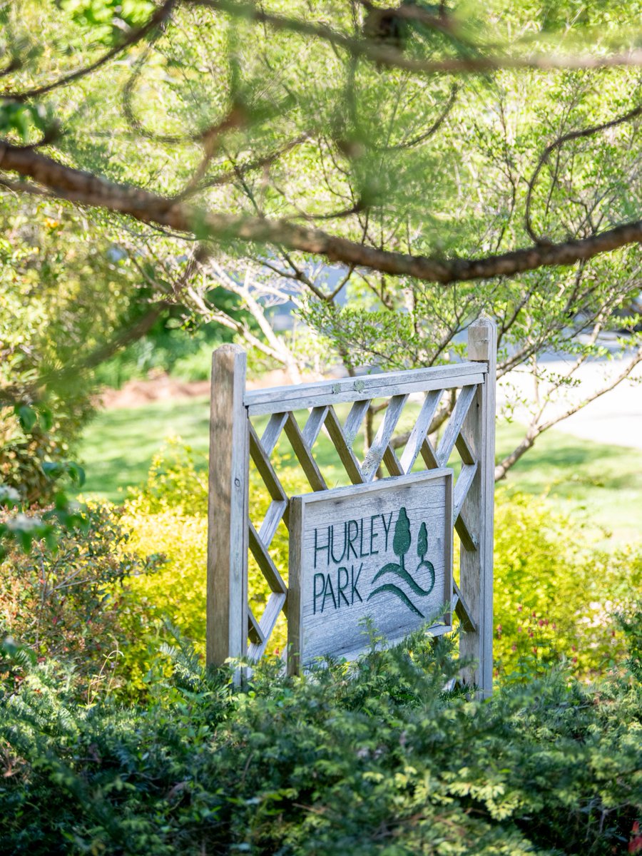 Your Rowan tweet media