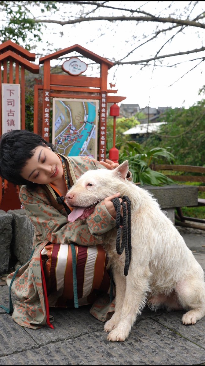 Chinese Hanfu tweet media