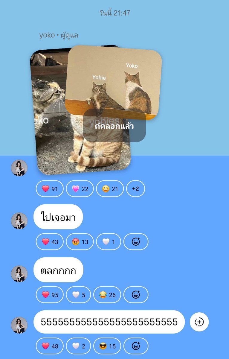 Yoko Apasra (Official Fan) tweet media