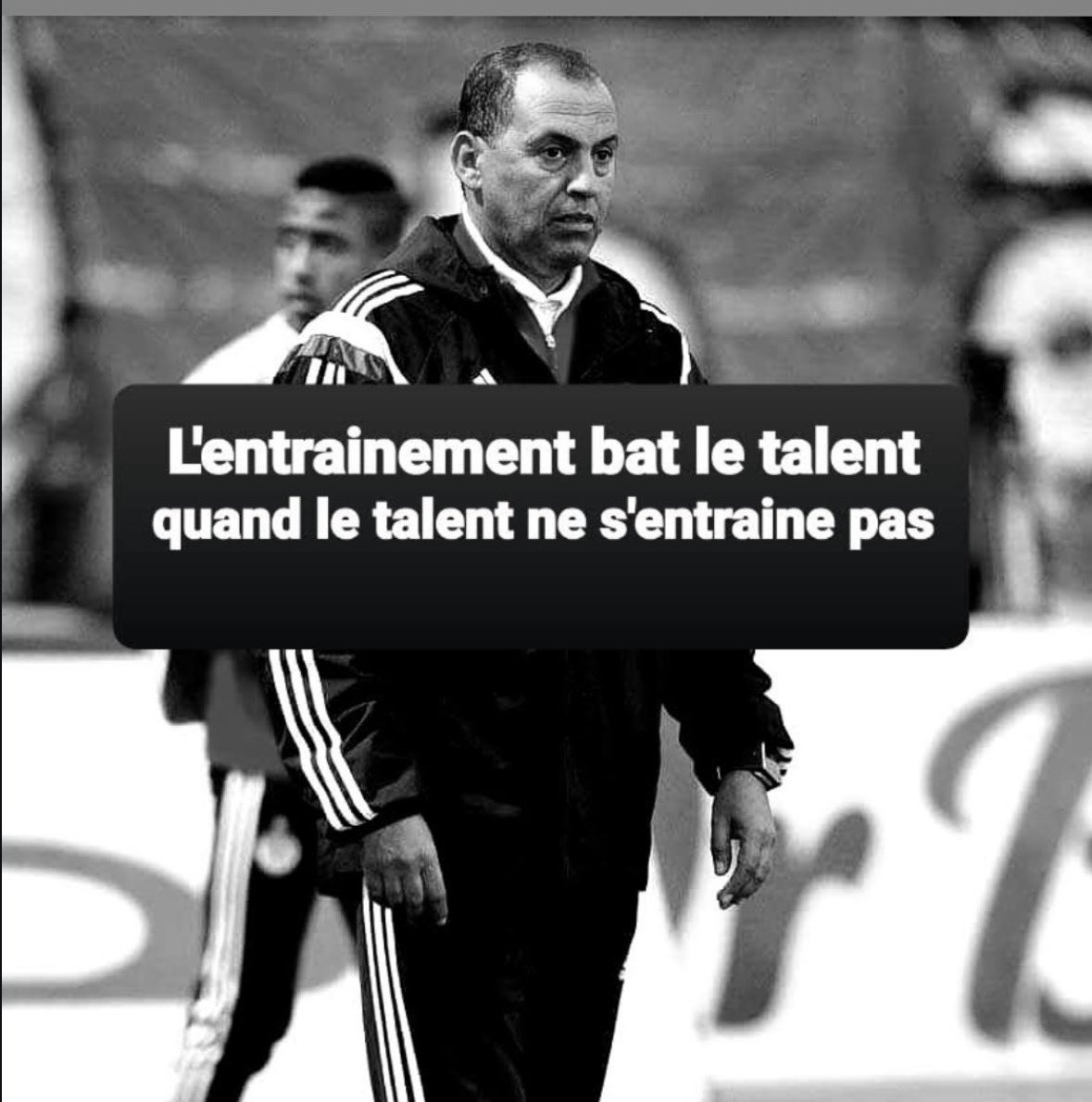 ElGhali drayaf tweet media