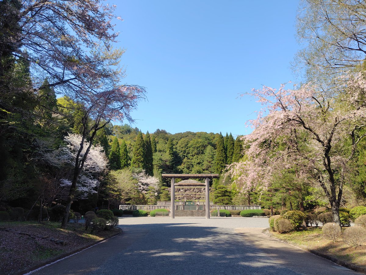 大正天皇多摩陵（たまのみささぎ）には桜はなかったが、昭和天皇武蔵野陵（むさしののみささぎ）には桜が咲いていた。