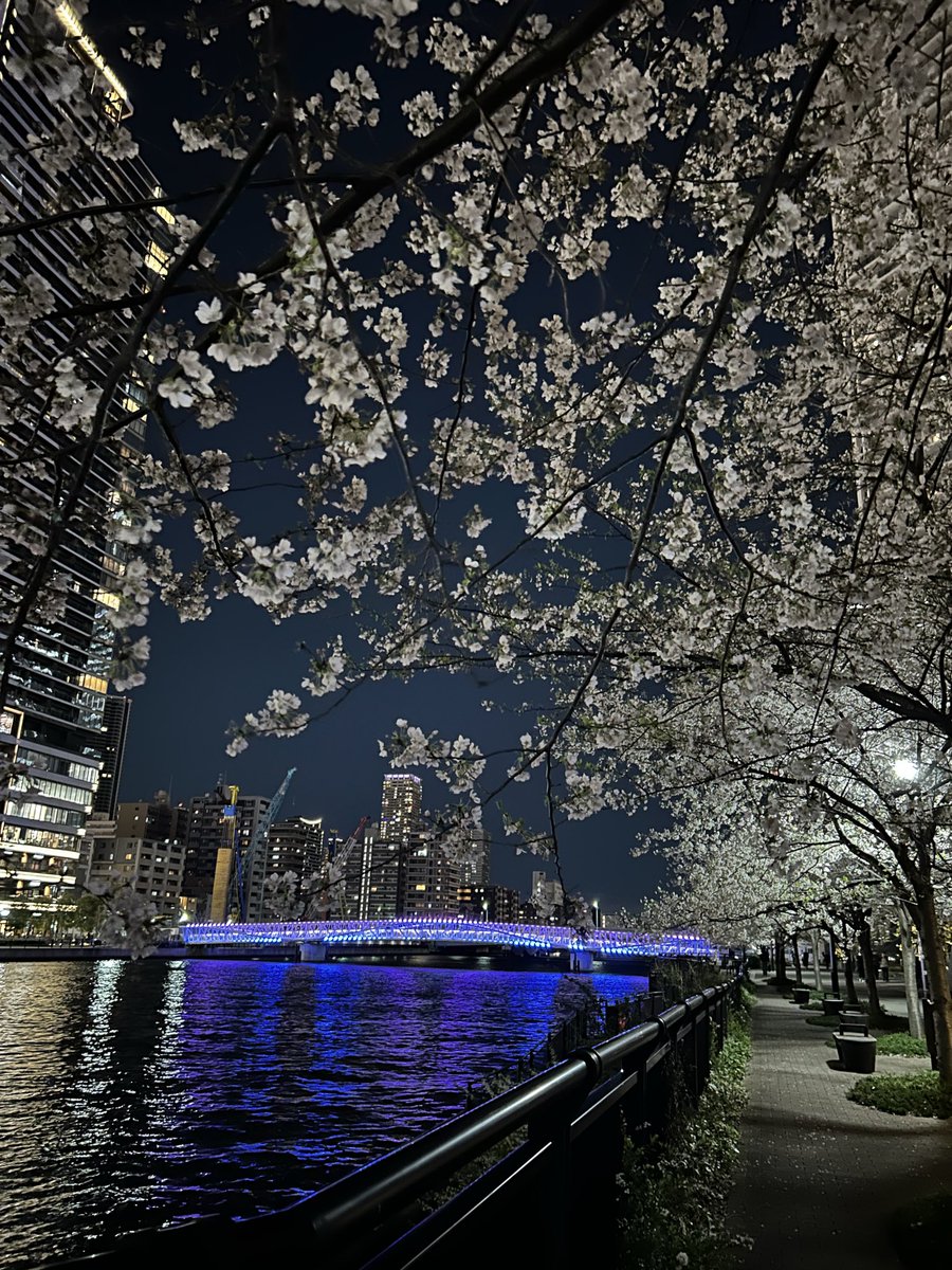 久しぶりに遅めの現場♪
ずっと定期で通っていたお客様が23区外へ引越しが決まりました。あと何回この景色を見られるのか☹️
