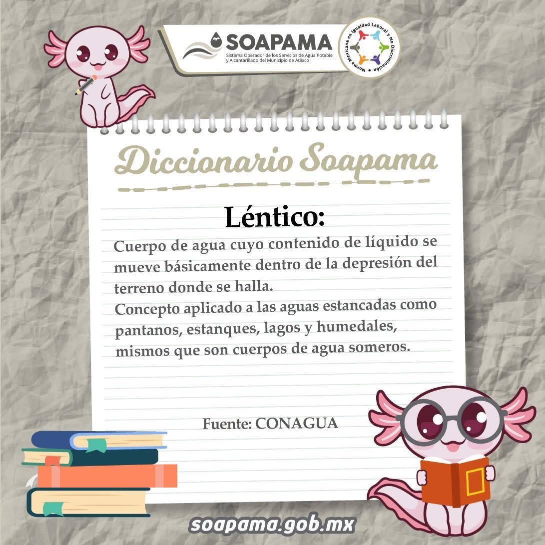 Soapama Atlixco tweet media