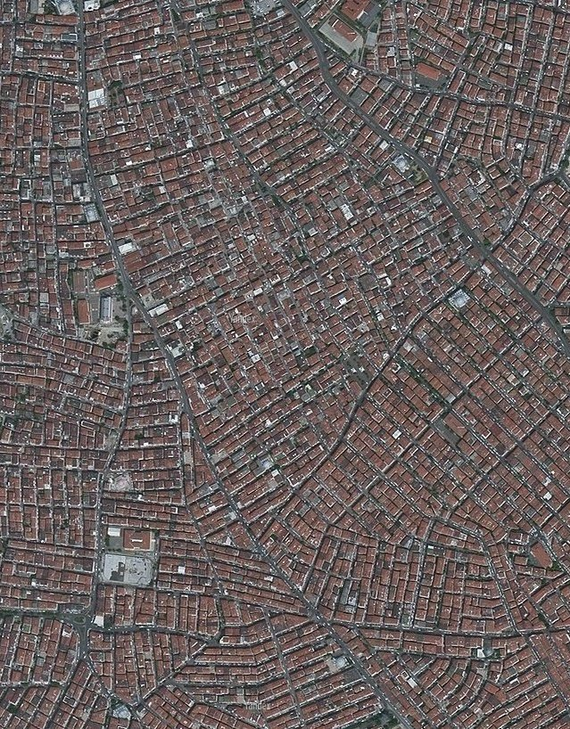 Alighieri tweet media