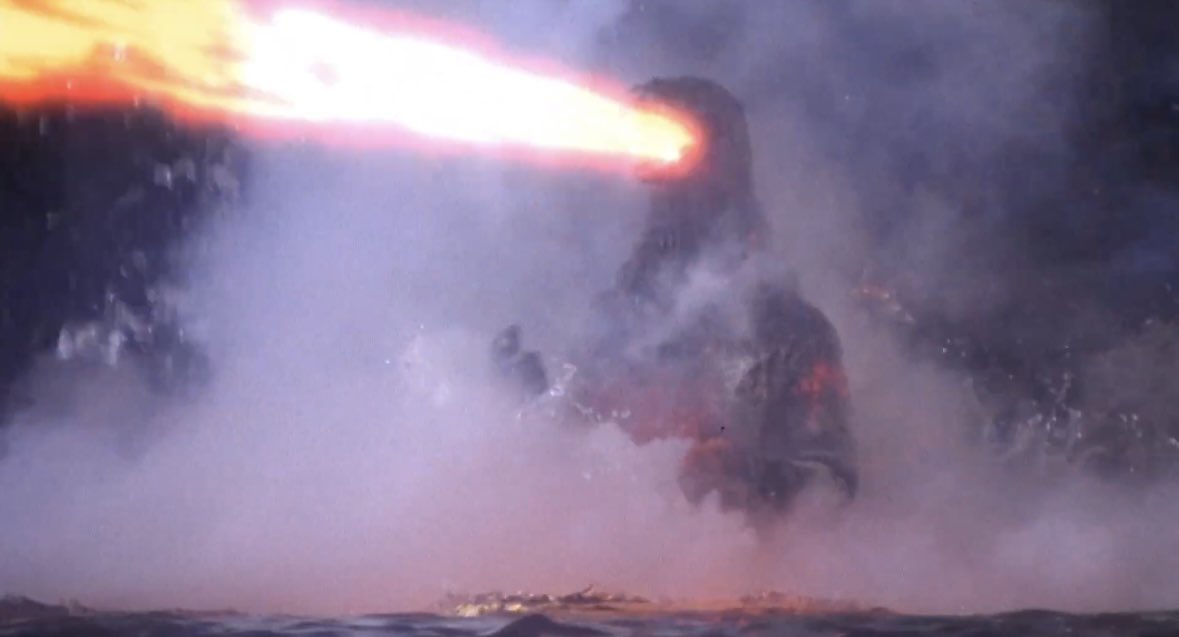 Shou✡️ tweet media