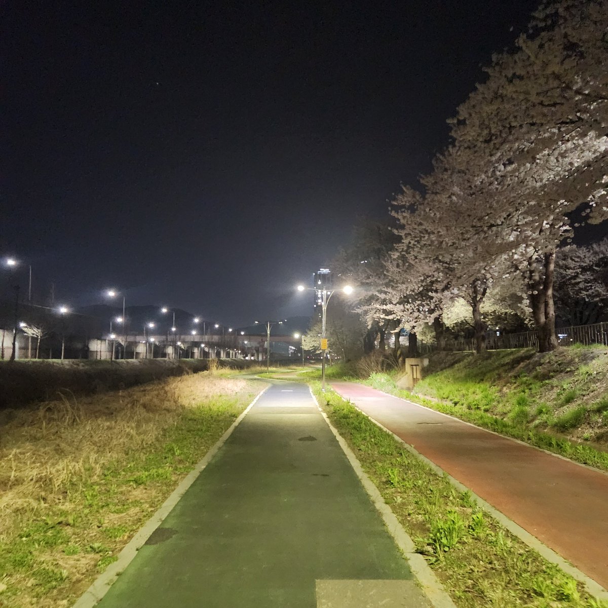 오늘 tweet media