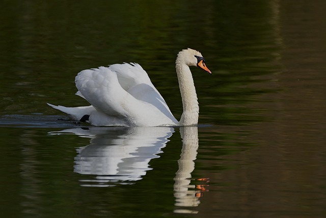 Andrew Benson tweet media