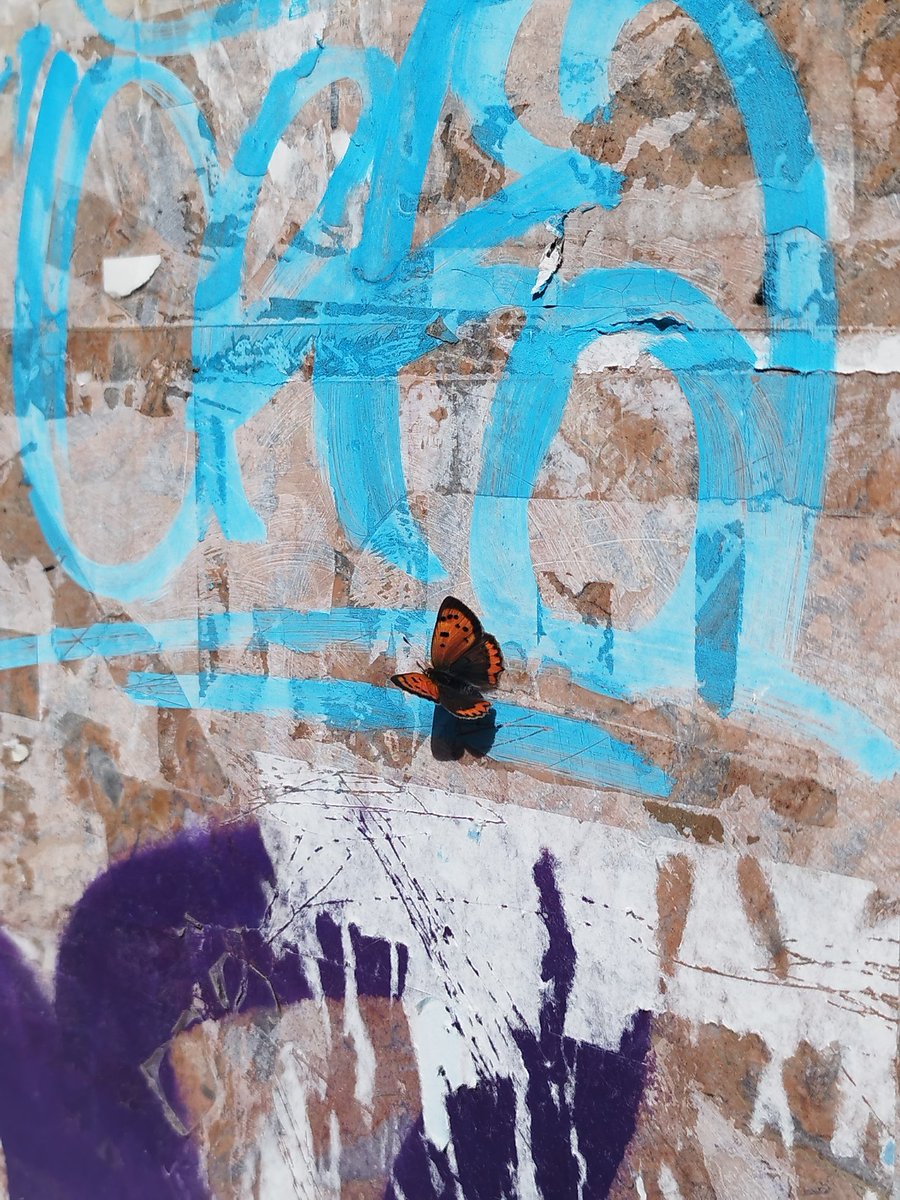 Ángela Redondo Almandoz tweet media