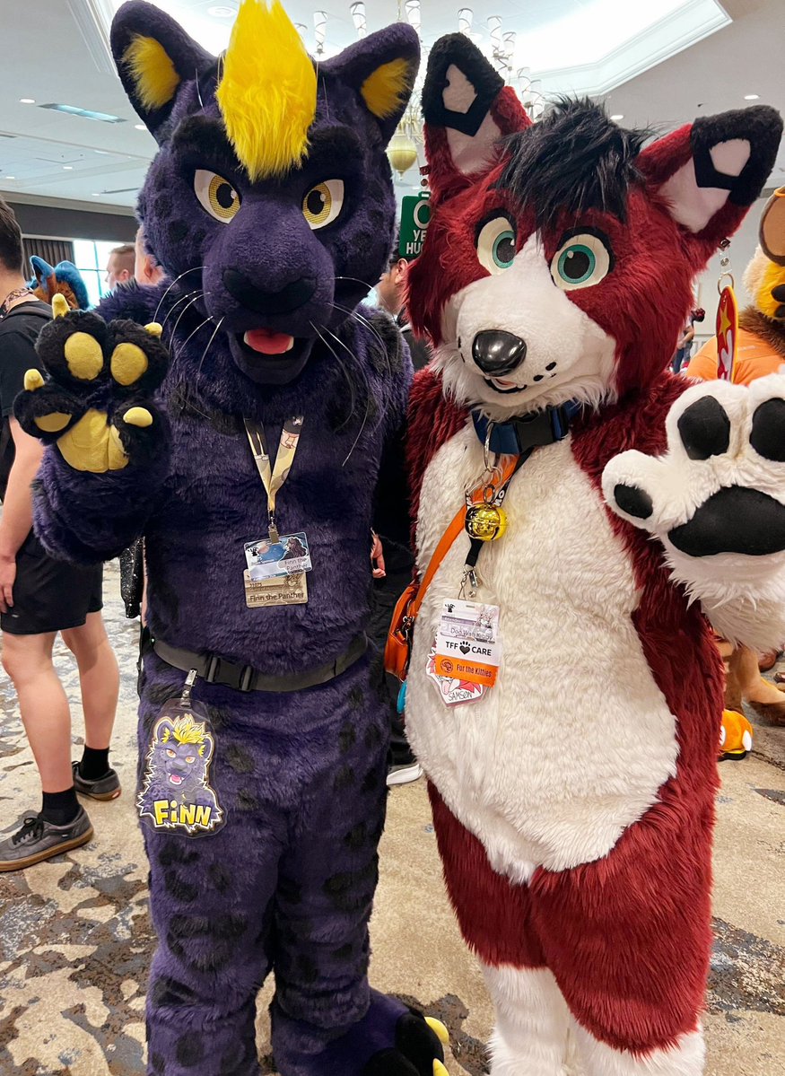 YipMeew's tweet image. Heyy you :3 Guess what??
The TFF 2026 video is DONE!! 🙌 Ahhh I'm sooo glad and it turned SO well, I couldn't feel more content~ Have a look and see if you spot yourself :3 
Thank you to everyone who made it possible!! ❤️
youtu.be/5wMl51F5VGU

📸: JackieTheDeer
#TFF2026