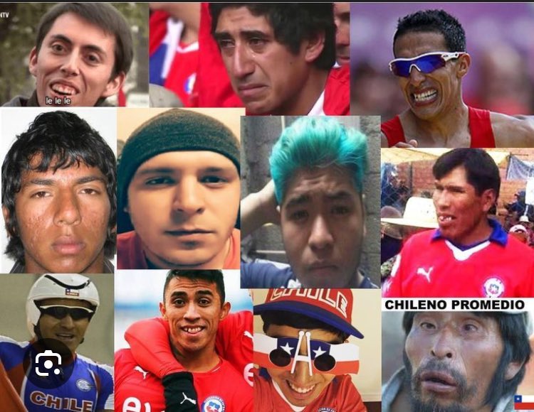 kev - El Oso Judio! tweet media