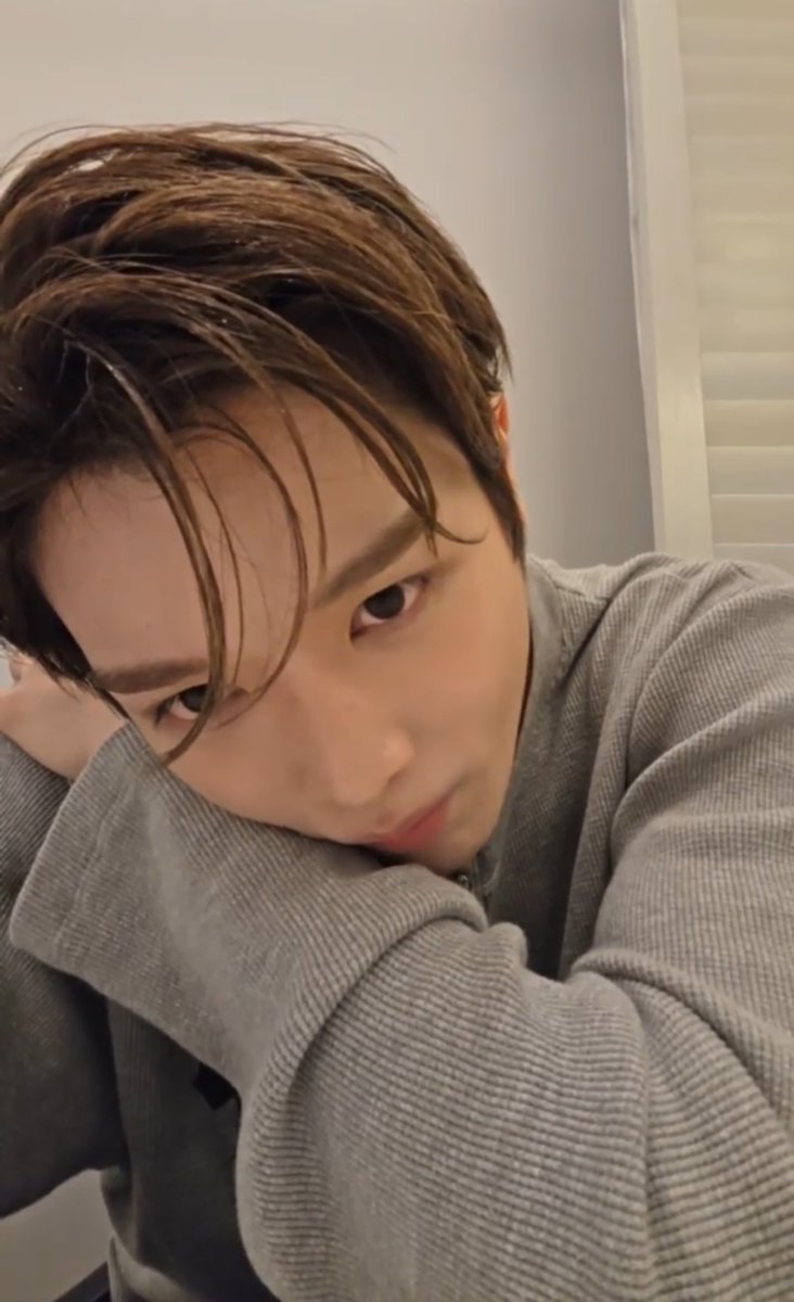 wt ♡ ˚. tweet media