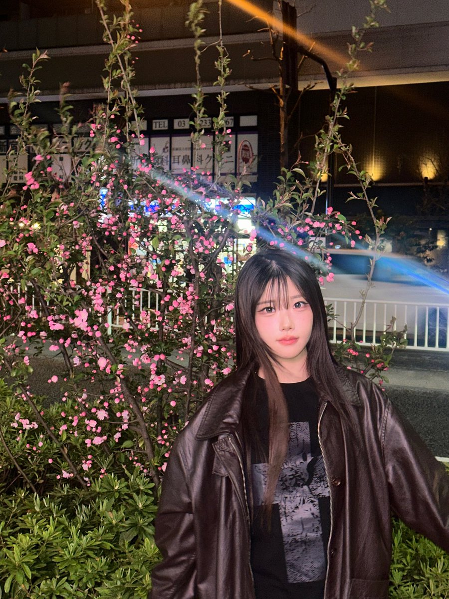 member_classy's tweet image. [#채원]

보구디포🌹🌷

#CHAEWON 
#CLASSy #클라씨