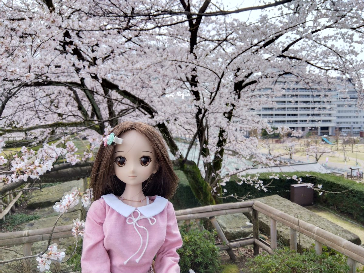 こて(4/16~18 曜ちゃん誕生日旅行🗻🌊) tweet media