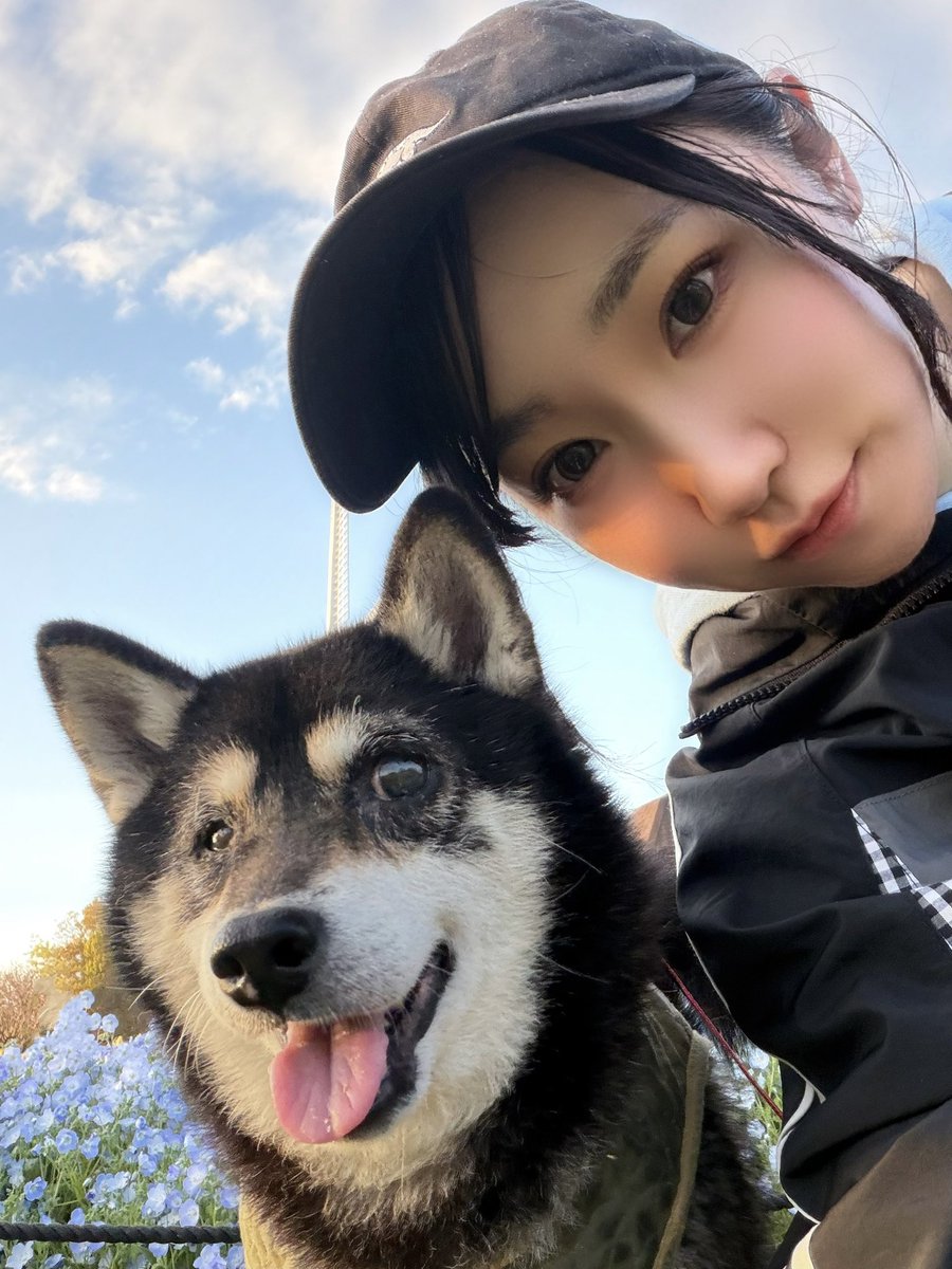 藤田さくら🐼 tweet media