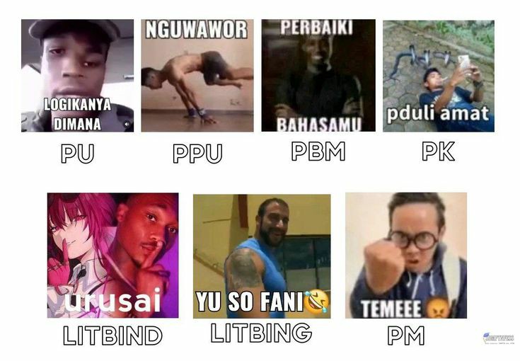 sasha 🥦 tweet media