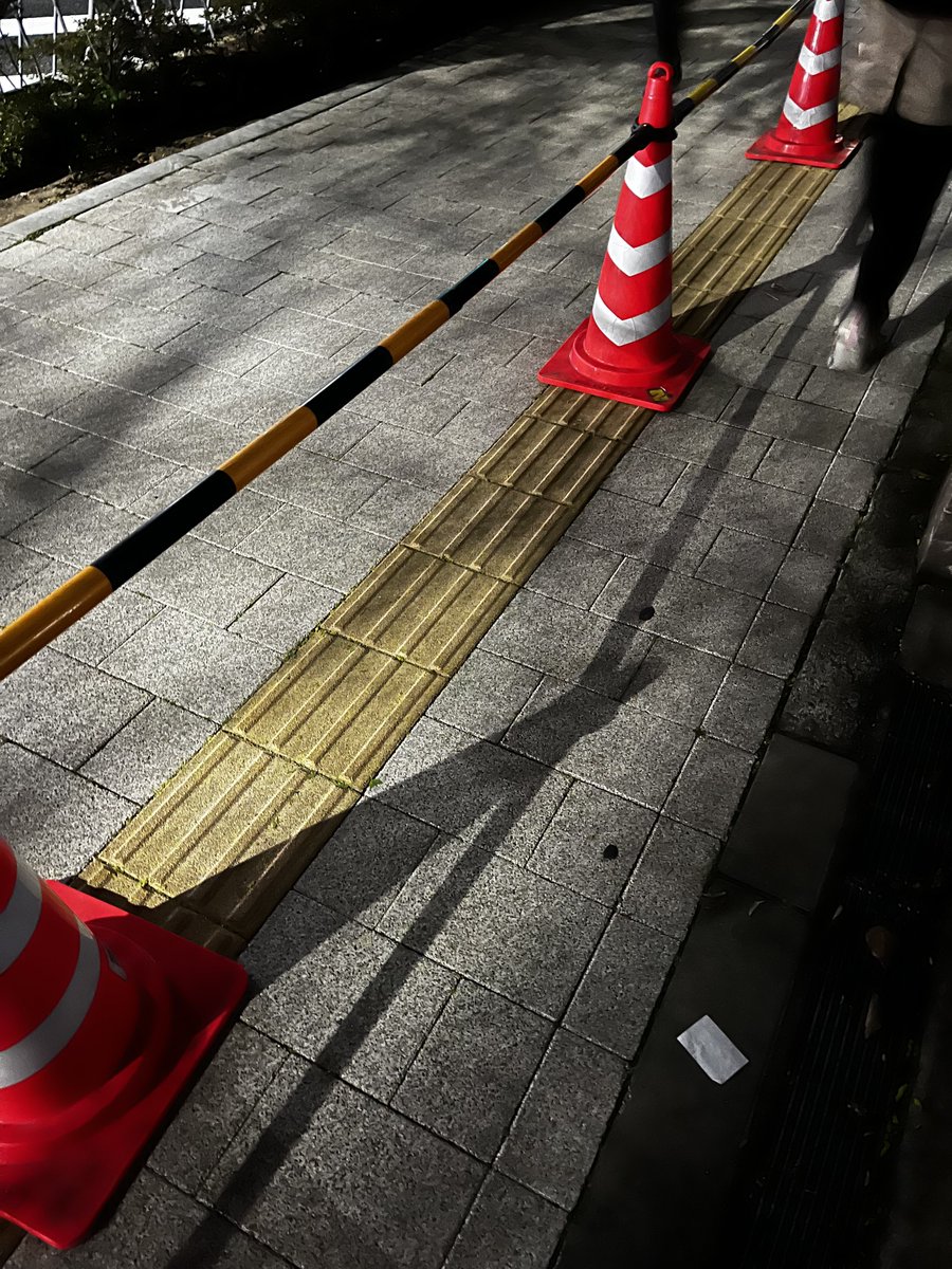 #平和憲法を守る０４０８ 
国会周辺をぐるぐるしたんだけど、途中変なところで交通規制って言って通してもらえなかったり、窮屈なとこもあったけどめちゃめちゃ人がいてよかった🥲🥲
でも警察が置いたと思しきコーンが思いっきり点字ブロックの上だったのはどうかと思いました💢💢💢💢😠😠😠😠