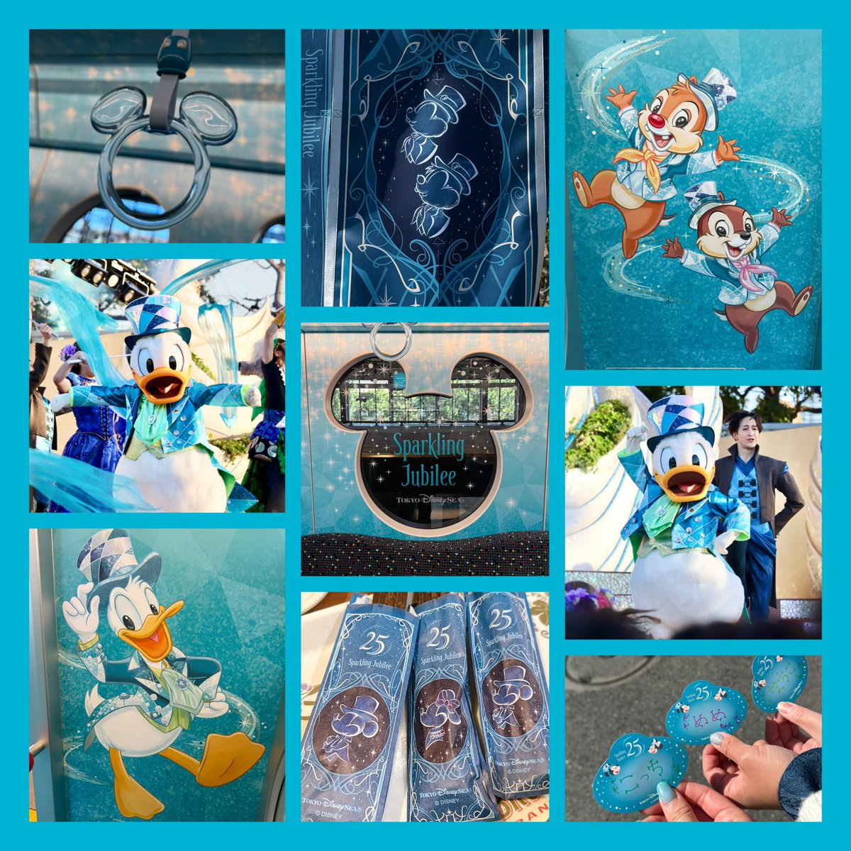 こっち🌱 tweet media