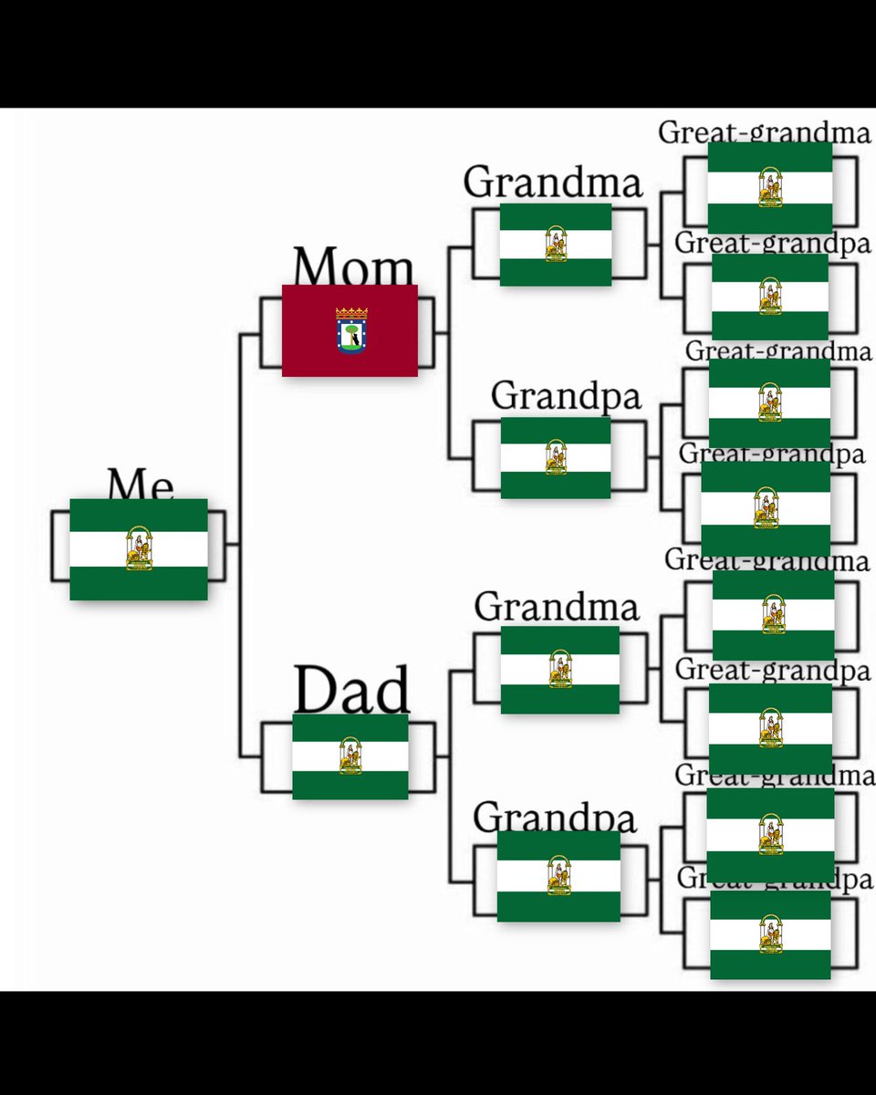 Pura raza andaluz