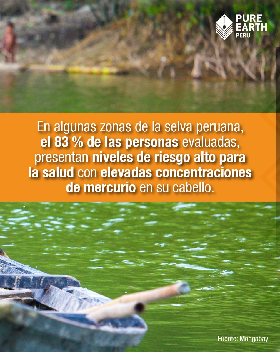 PureEarthPeru's tweet image. (2/2) ⚠️ Al ingresar al organismo, puede dañar el sistema nervioso, afectar la memoria, la concentración y el desarrollo, además de impactar órganos como los riñones y los pulmones. 
 #freemercurymining #MinamataConvention #makemercuryhistory #PureEarthPerú #PureEarth