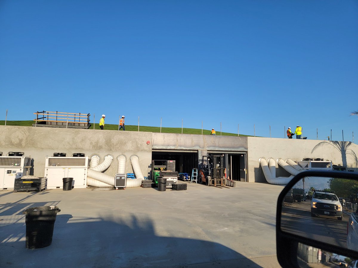 Cryptix Ball Pythons tweet media