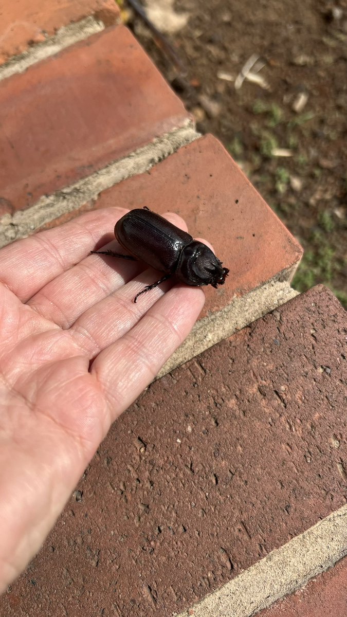 Dragonfly 🧚🏻‍♀️✨🪩💛 tweet media