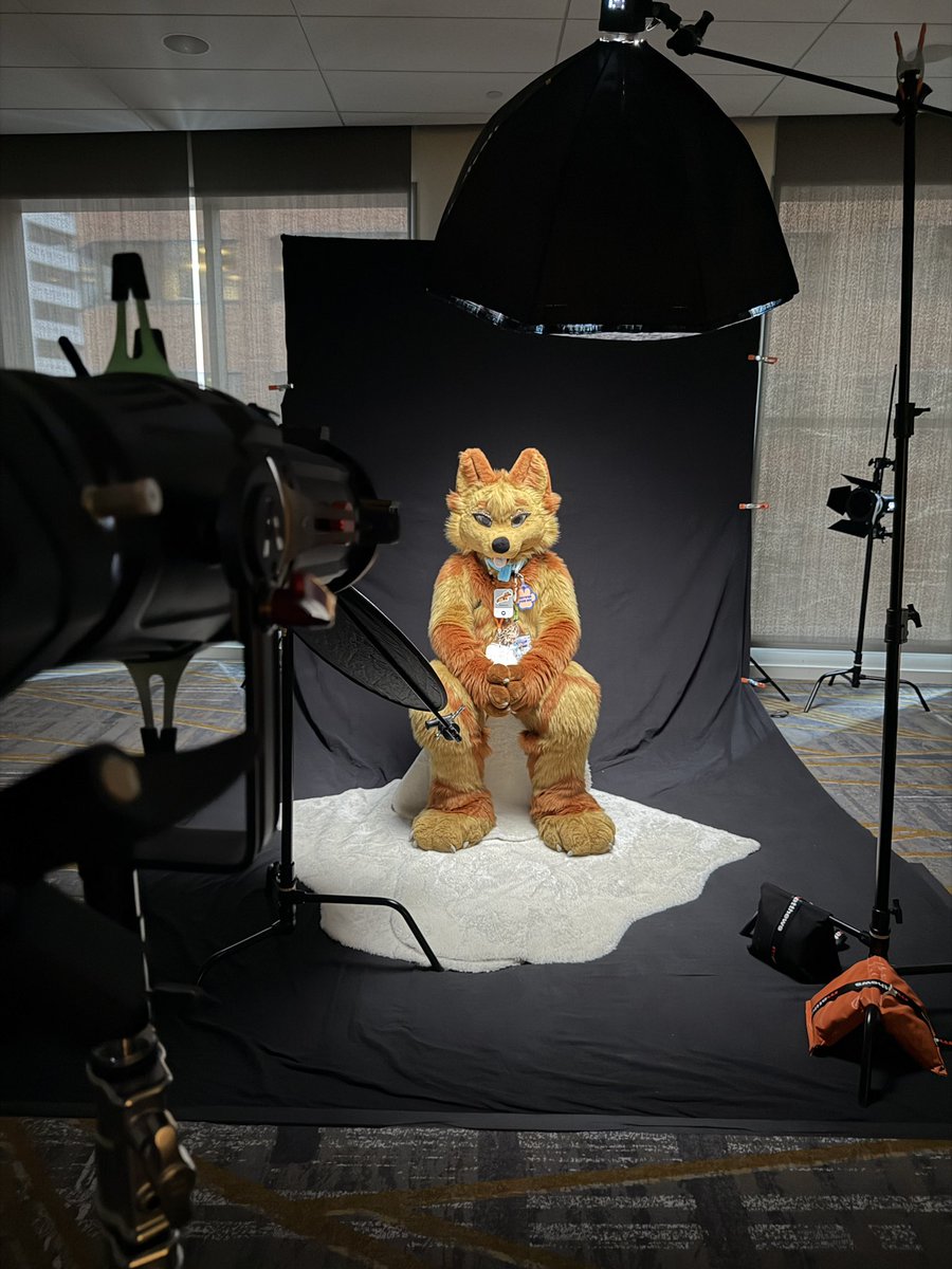 DozingUnicorn 🔜 AC tweet media