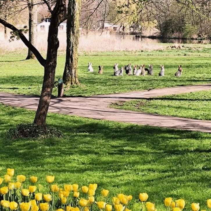 Gijs🐈⬛ & Saartje🐈⬛ en Antwan🙋🏼♂️ tweet media