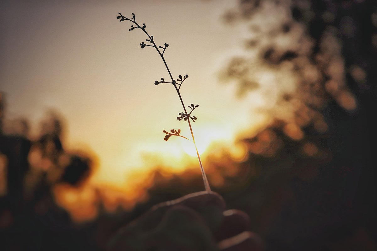 Ashish khade tweet media