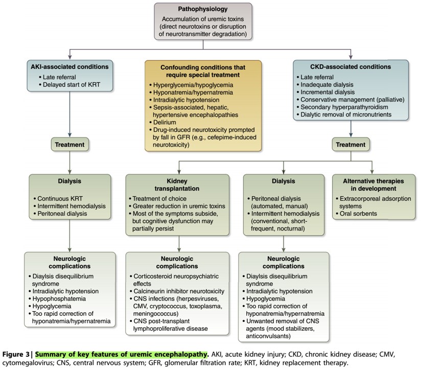 Doctor_Stewie's tweet photo. Encefalopatia Urémica 🫨😵‍💫🫘

✔️Manifesración de uremia y criterio para iniciar diálisis
✔️Características propuestas 👇🏼
✔️Mecanismos fisiopatológicos 👇🏼
✔️Importante: clínica mejora luego de diálisis 
✔️Resumen de autores 👌🏼👇🏼

#MedEd #NephX #NephTwitter
Rosner et al. KI. 2022 https://t.co/AihEH6UUJA