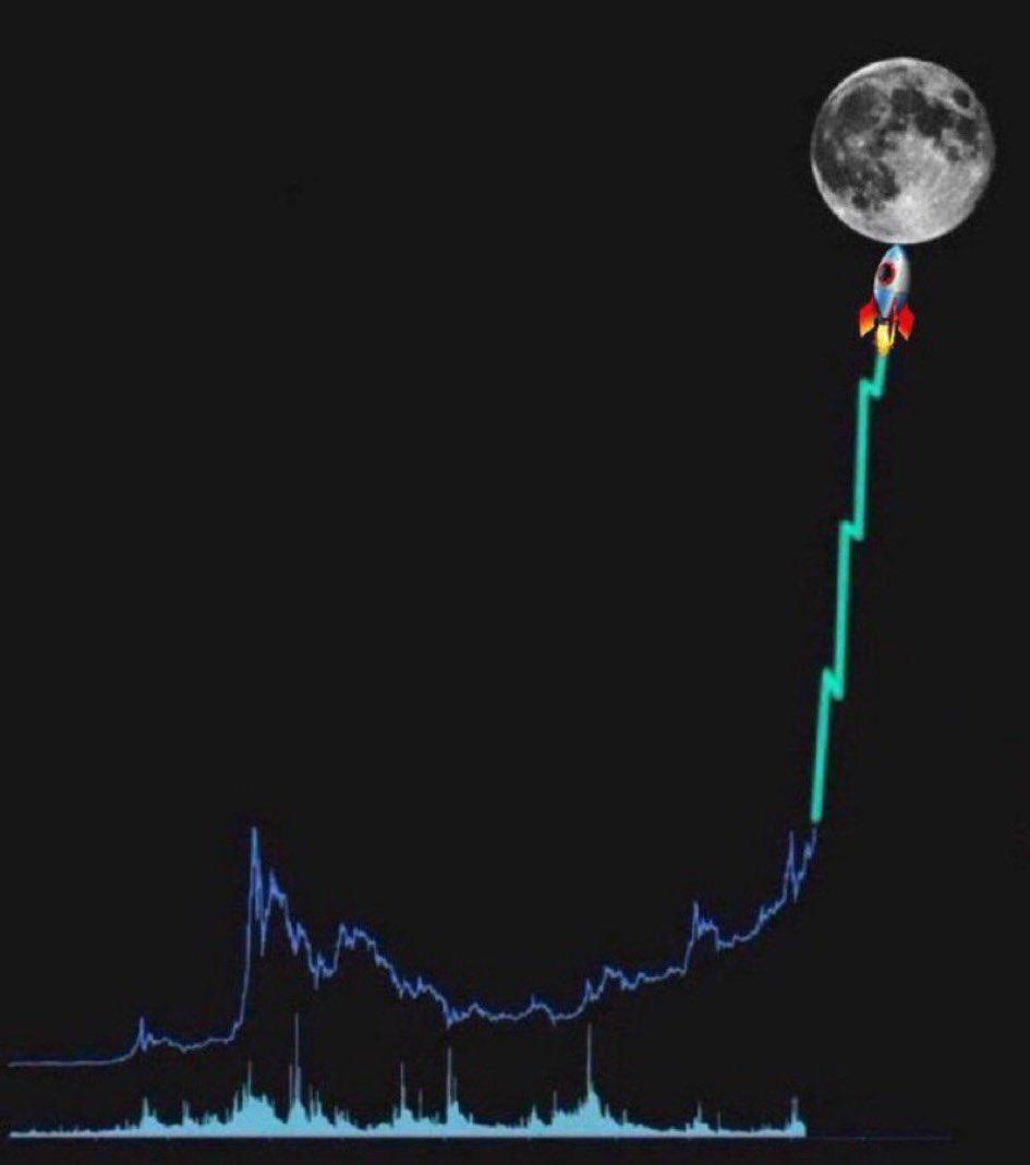 CRYPTO_Alice💞💯💞 tweet media