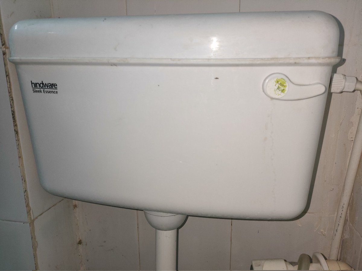 尺ᗩڶ j卄𝕒 tweet media