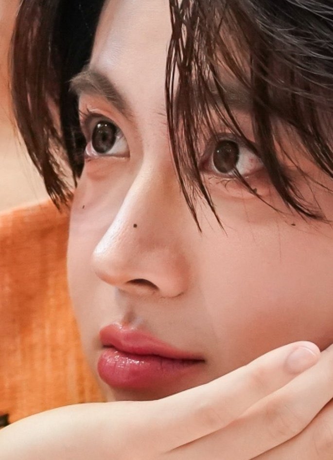 ꜱᴏᴘʜɪᴀ*' `*: •☆ (slow) tweet media