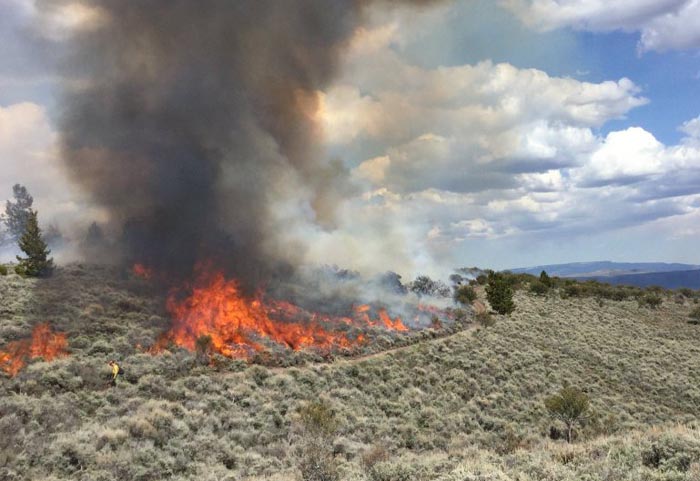 FireScience.gov tweet media