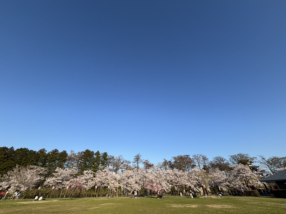 ひろこ♪ リアルライフコーチ tweet media