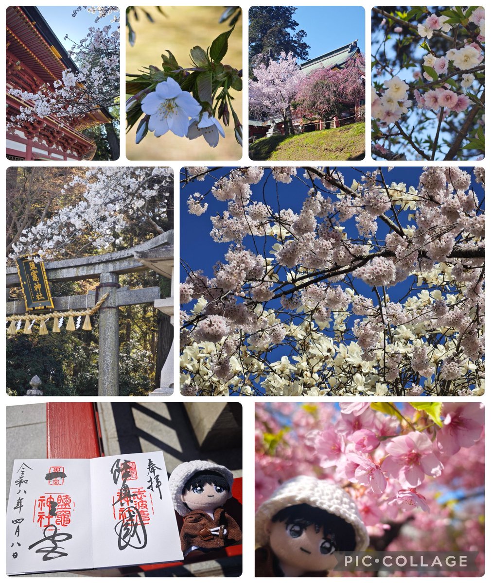 🕊みっちょん*⋆✈💒🎠𓂃ᴍɪɴɪ tweet media