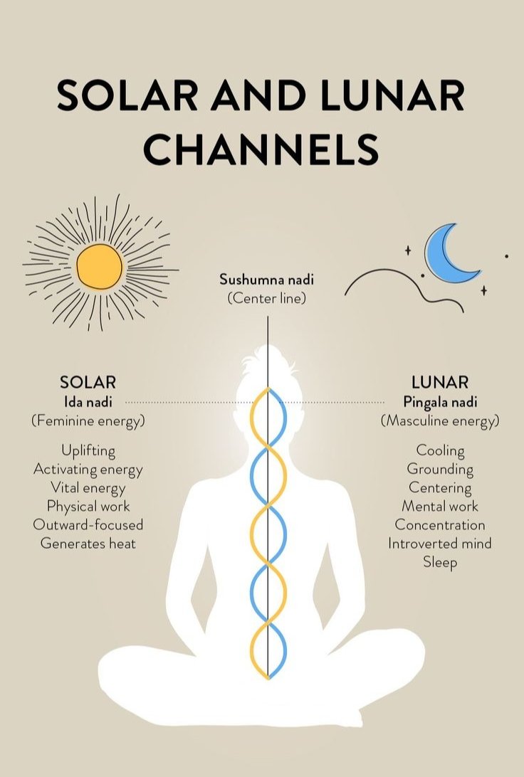 You don’t lack energy—

you lack balance.

Two forces run within you—

one heats,
one cools.

When they align—

life flows.

When they don’t—

everything feels off.
यदा सुषुम्ना नाडी प्रवर्तते
तदा चित्तं निरामयम्॥