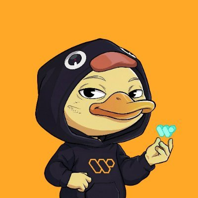 Wallchain Quacks tweet media