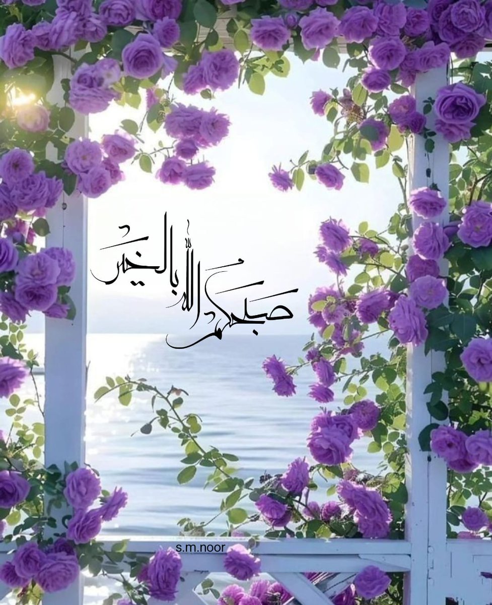 MohammedBHR tweet media