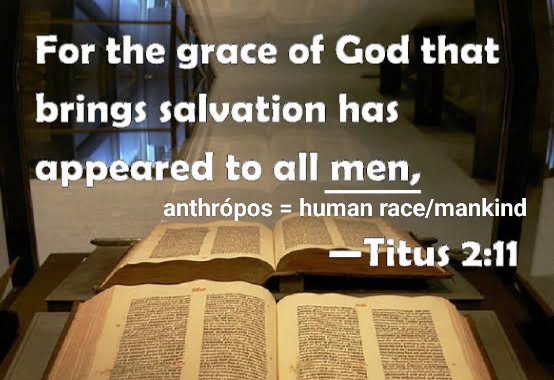 HisLifeNMe tweet media