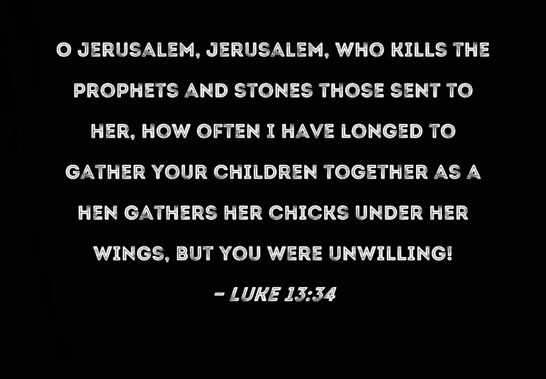 HisLifeNMe tweet media