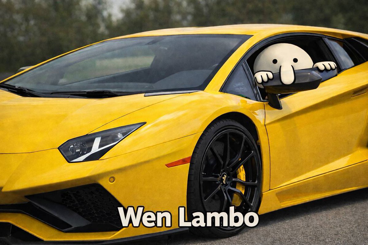 HaychPuppy was Here tweet media