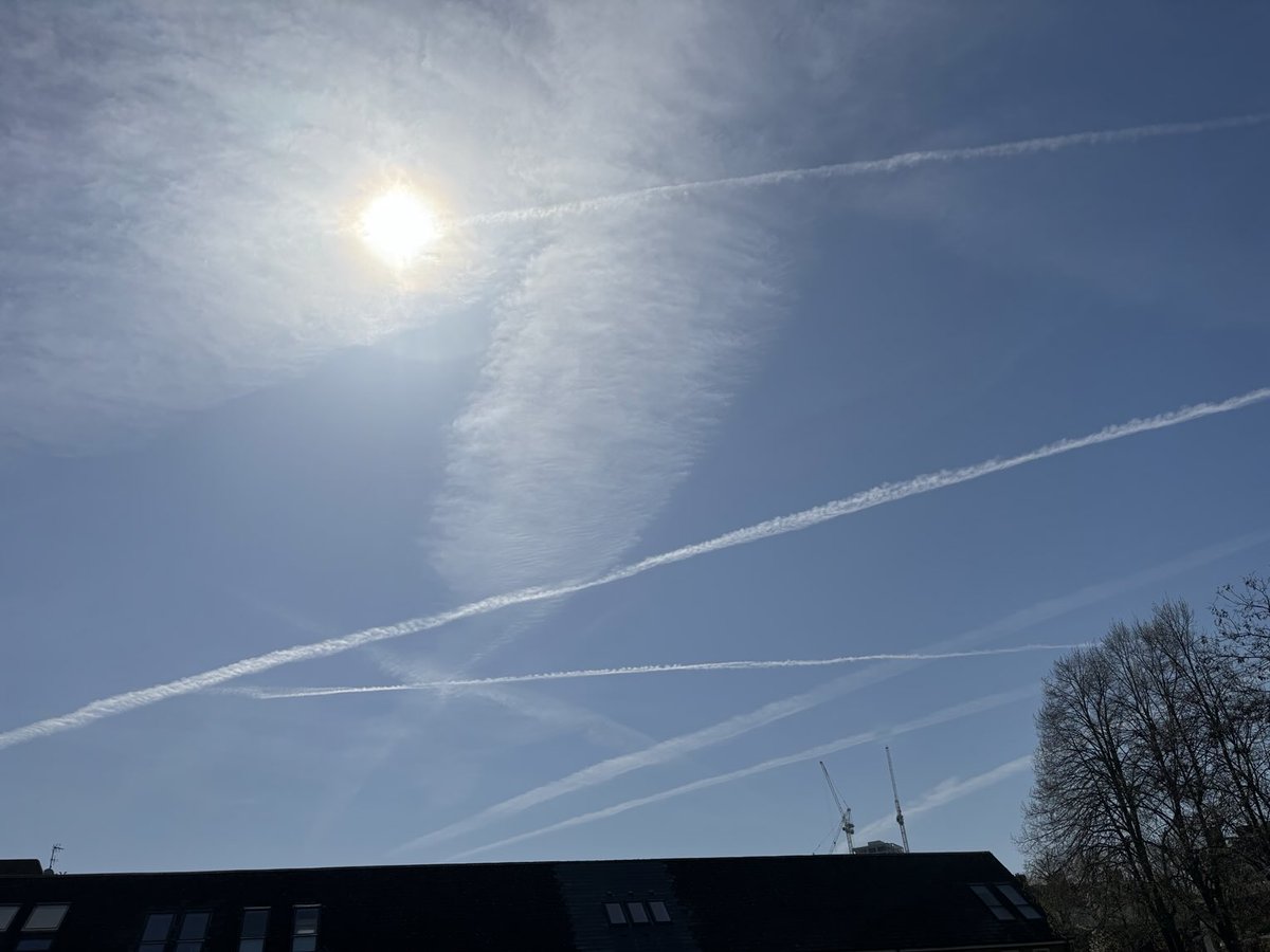 BassCabbieMan 🏴 🇬🇧 🇺🇸 tweet media